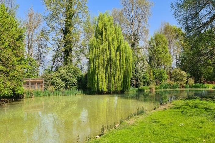 Image No.30-Maison de campagne de 4 chambres à vendre à Trévise