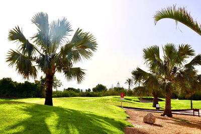 13-5fd73dea700db77384c091ca9818b1a9