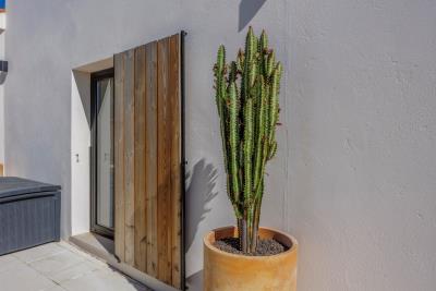 13_8b53e20f-672b-4002-86a7-6901f2ba7591