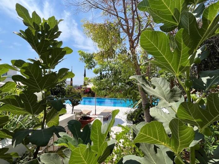 Image No.11-Maison de ville de 2 chambres à vendre à Koloni