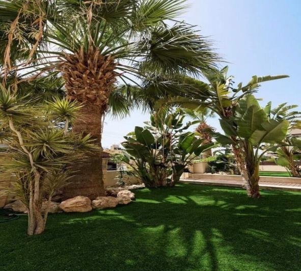 Image No.28-Villa de 6 chambres à vendre à Universal