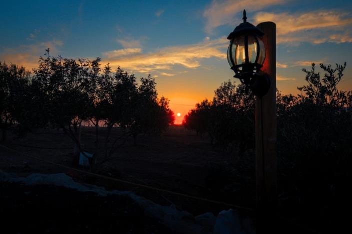 Image No.31-Propriété de 4 chambres à vendre à Anarita