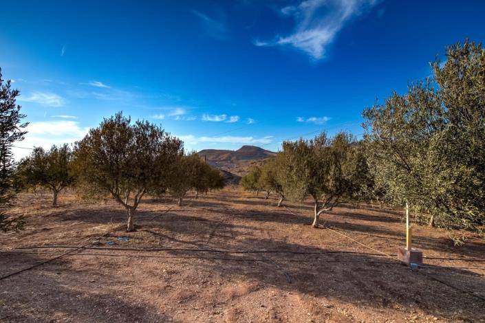 Image No.32-Propriété de 4 chambres à vendre à Anarita