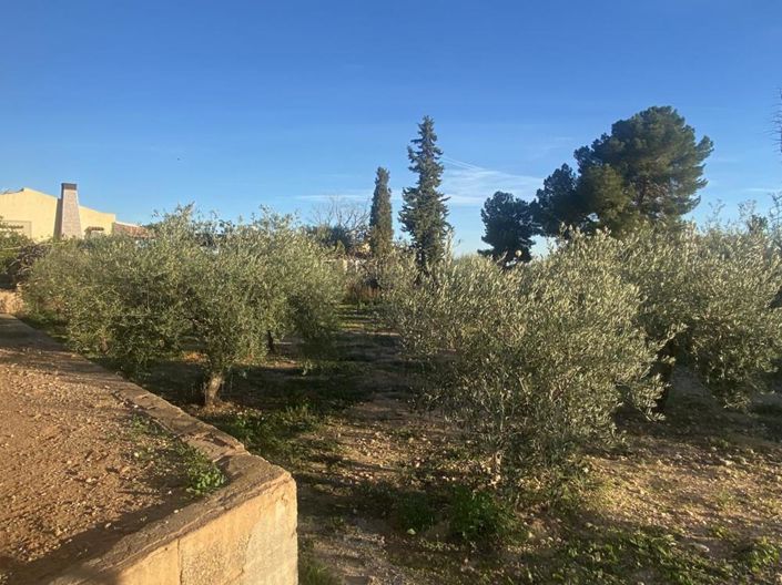 Image No.42-Villa de 4 chambres à vendre à Gea y Truyols