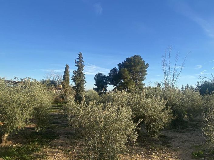 Image No.6-Villa de 4 chambres à vendre à Gea y Truyols