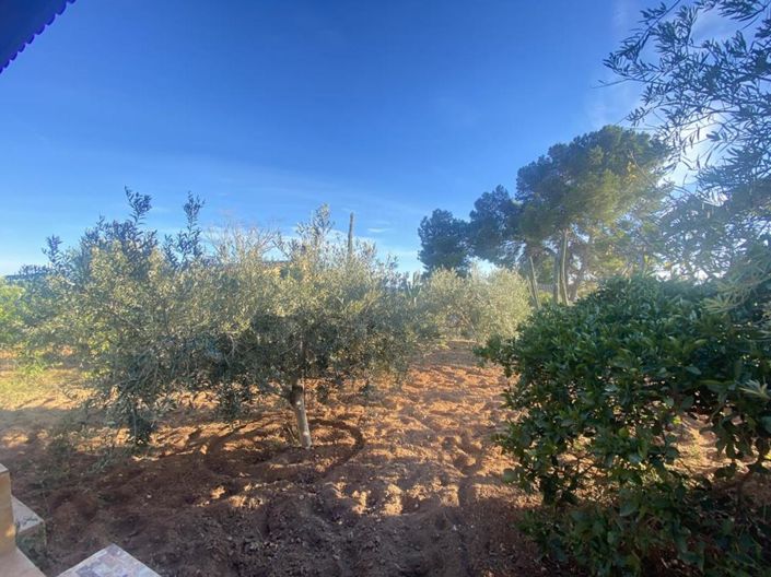 Image No.8-Villa de 4 chambres à vendre à Gea y Truyols