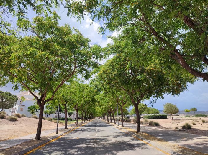 Image No.41-Appartement de 2 chambres à vendre à Murcie