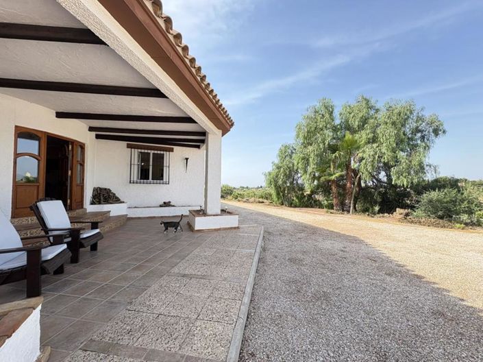 Image No.15-Finca de 4 chambres à vendre à Gea y Truyols