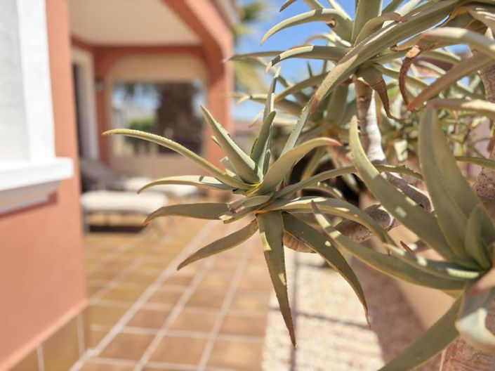 Image No.11-3 Bed Villa for sale