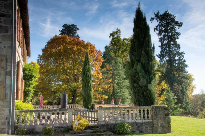 Image No.26-Châteaux de 7 chambres à vendre à Bussière-Boffy