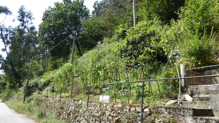 Image No.19-2 Bed Village House for sale