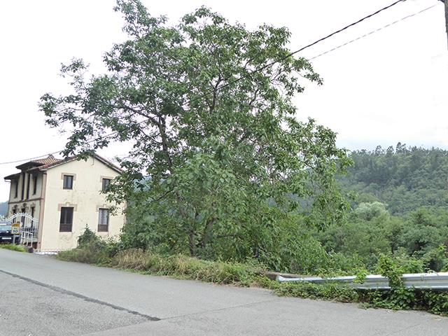 Image No.22-2 Bed Village House for sale