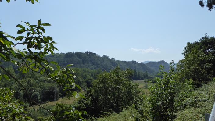 Image No.24-2 Bed Village House for sale