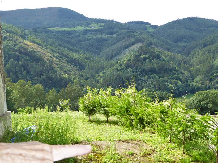 Image No.29-Maison de campagne de 5 chambres à vendre à Asturies