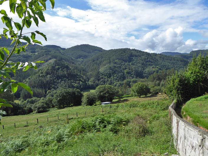 Image No.30-Maison de campagne de 5 chambres à vendre à Asturies