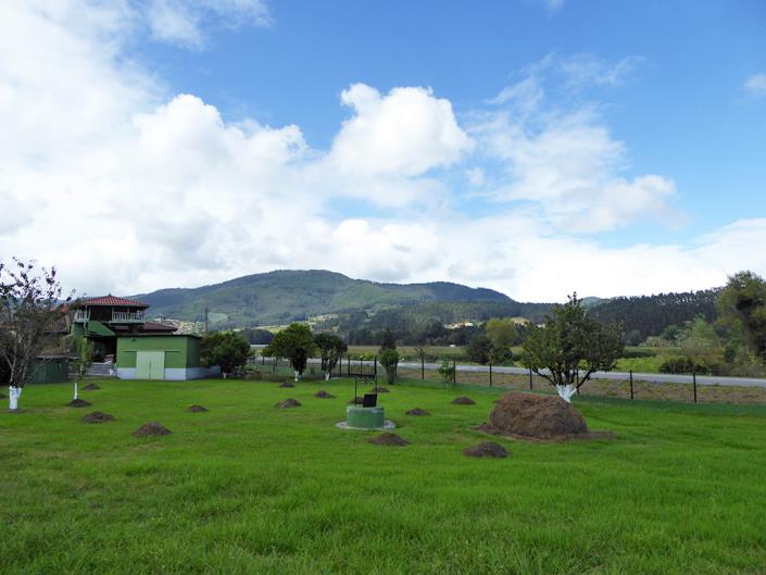 Image No.33-4 Bed Village House for sale