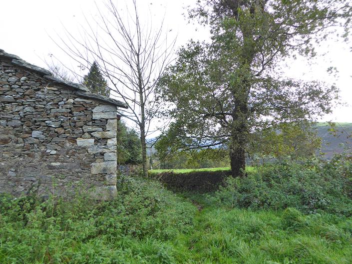 Image No.51-3 Bed Country Property for sale