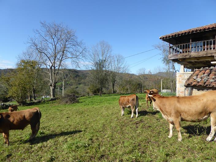 Image No.14-6 Bed Farmhouse for sale