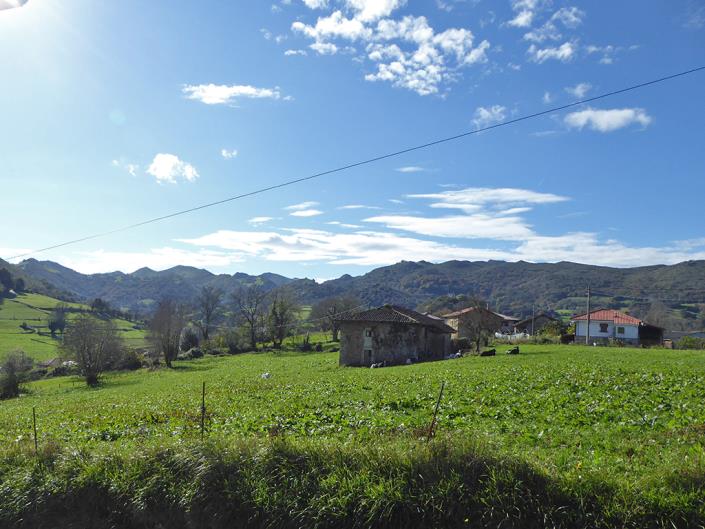 Image No.54-6 Bed Farmhouse for sale