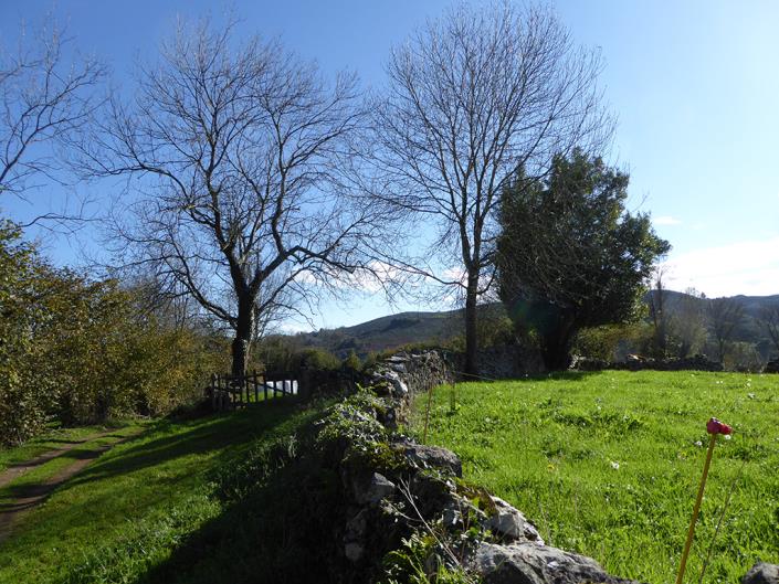 Image No.58-6 Bed Farmhouse for sale