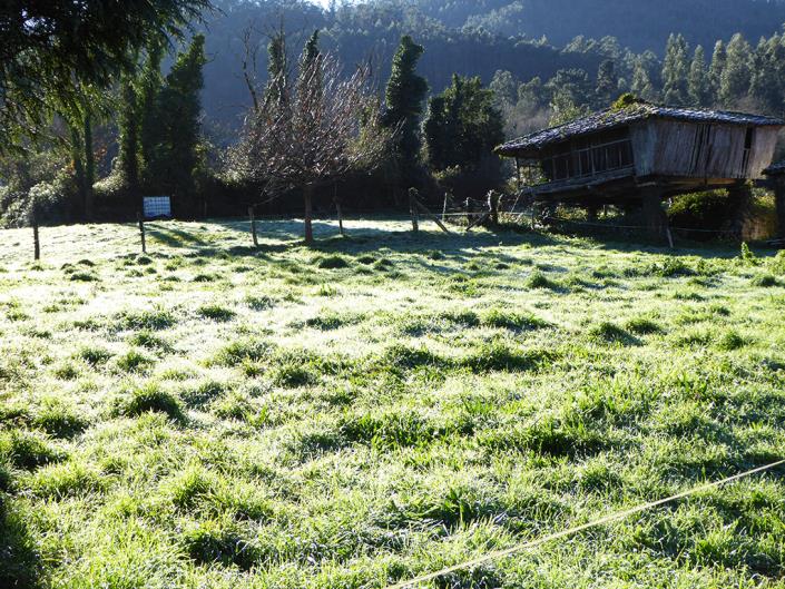 Image No.24-3 Bed Country House for sale