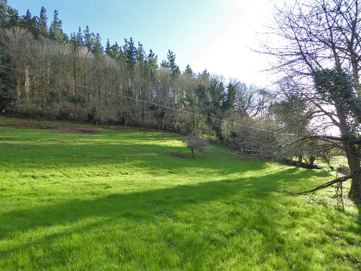 Image No.13-4 Bed Country House for sale