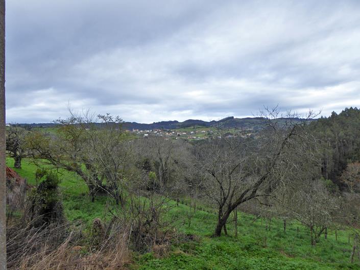 Image No.11-3 Bed Village House for sale