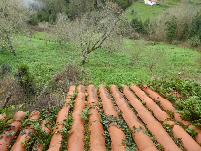 Image No.16-3 Bed Village House for sale