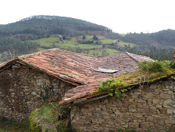 Image No.8-1 Bed Finca for sale