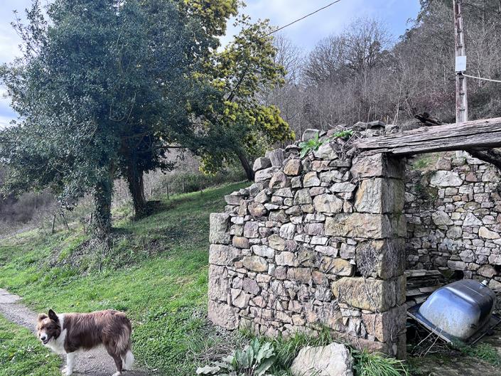 Image No.22-1 Bed Finca for sale