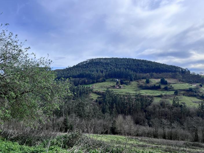 Image No.24-1 Bed Finca for sale