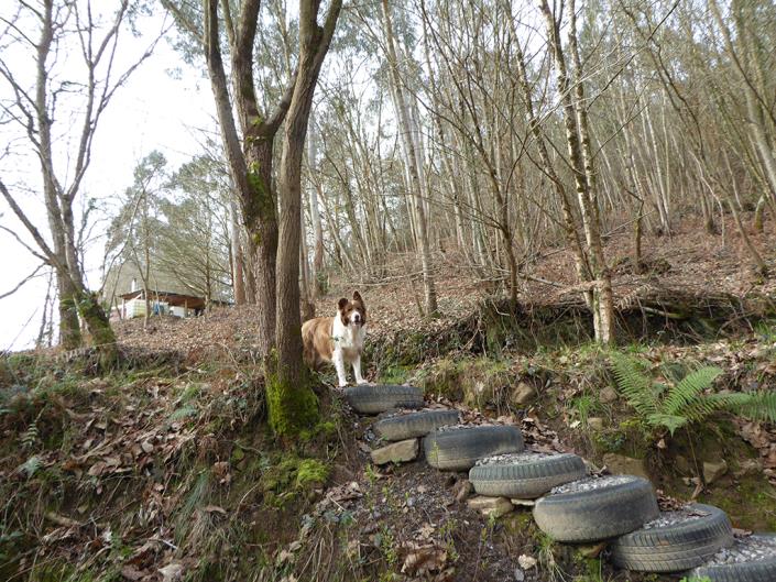 Image No.51-1 Bed Finca for sale