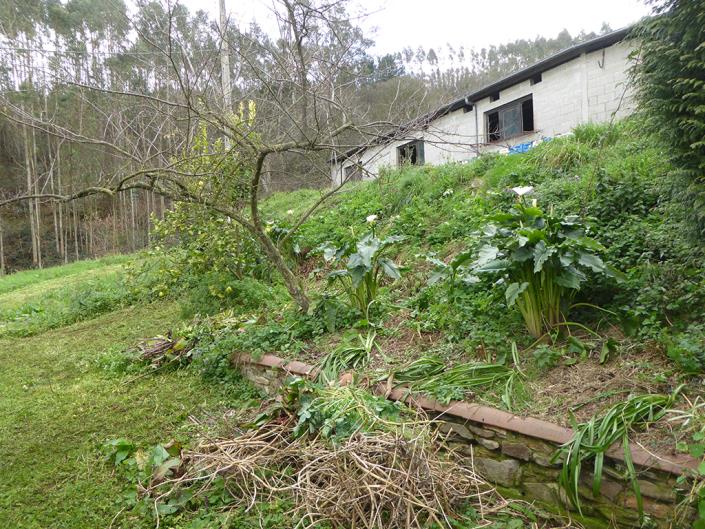 Image No.34-Appartement de 2 chambres à vendre à Pravia