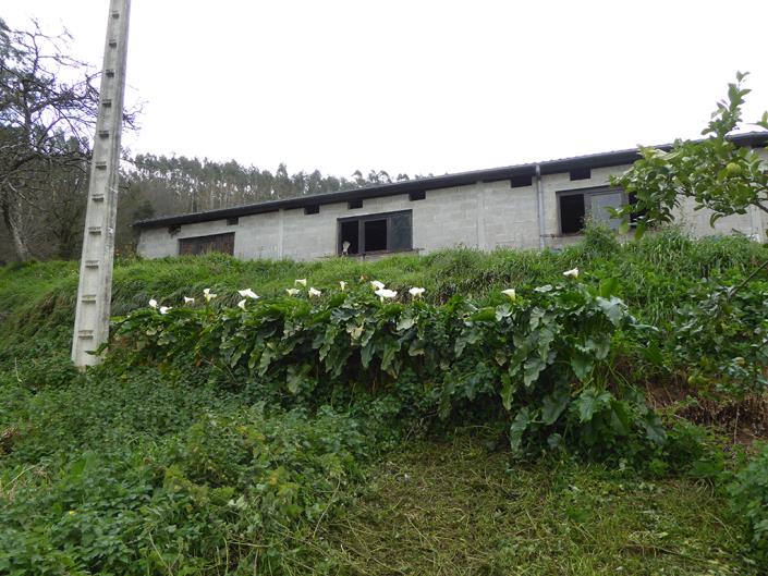 Image No.35-Appartement de 2 chambres à vendre à Pravia