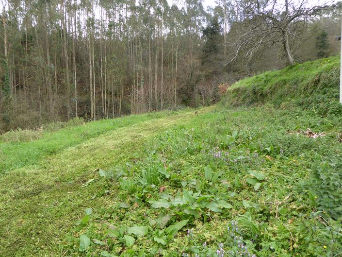 Image No.37-Appartement de 2 chambres à vendre à Pravia