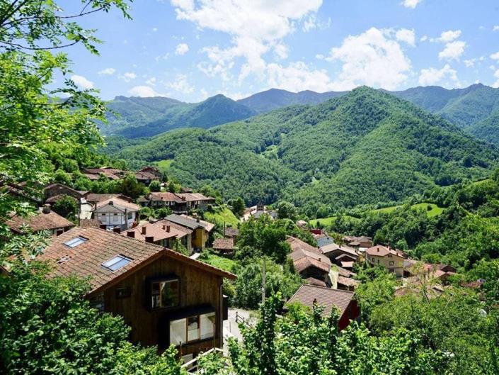 Image No.52-Maison de campagne de 3 chambres à vendre à Aller