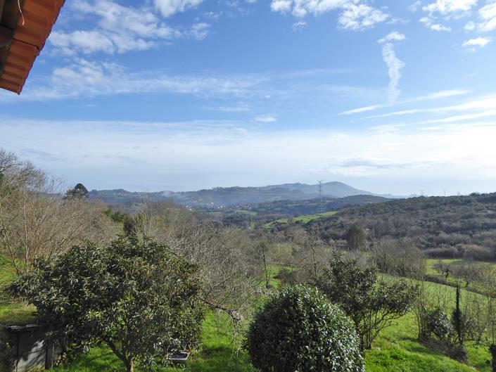 Image No.31-Propriété de pays de 4 chambres à vendre à Grado