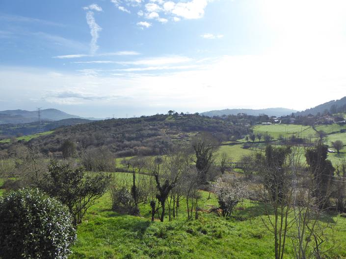 Image No.32-Propriété de pays de 4 chambres à vendre à Grado