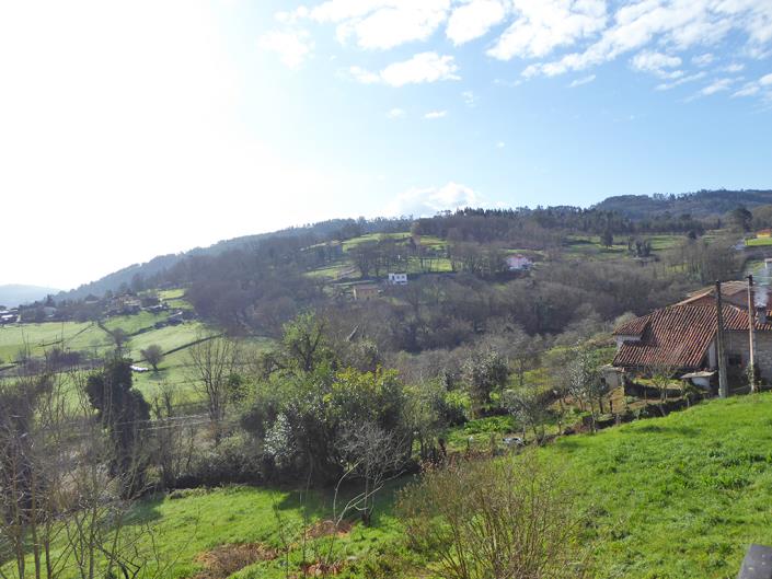 Image No.33-Propriété de pays de 4 chambres à vendre à Grado