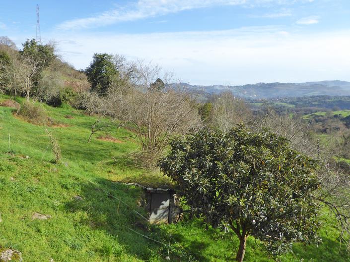 Image No.35-Propriété de pays de 4 chambres à vendre à Grado