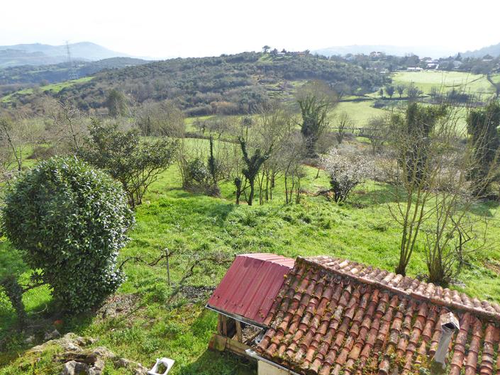 Image No.34-Propriété de pays de 4 chambres à vendre à Grado