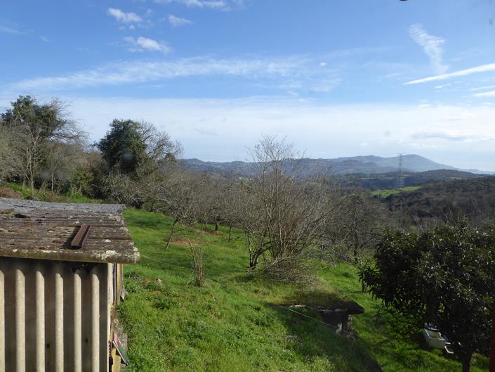 Image No.38-Propriété de pays de 4 chambres à vendre à Grado