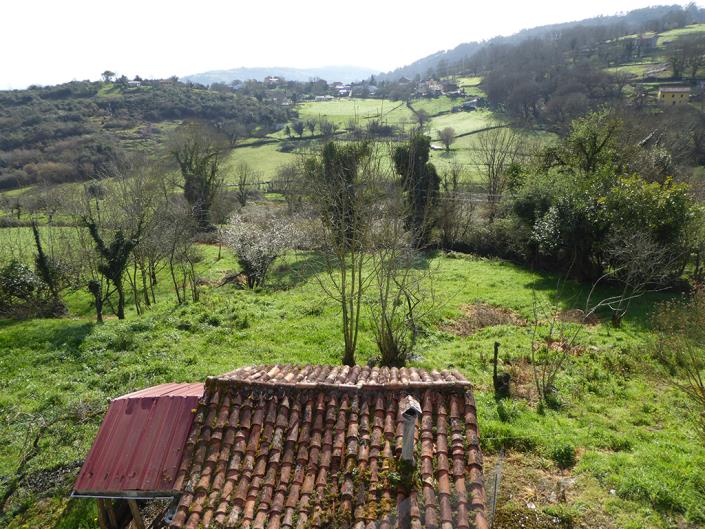 Image No.40-Propriété de pays de 4 chambres à vendre à Grado
