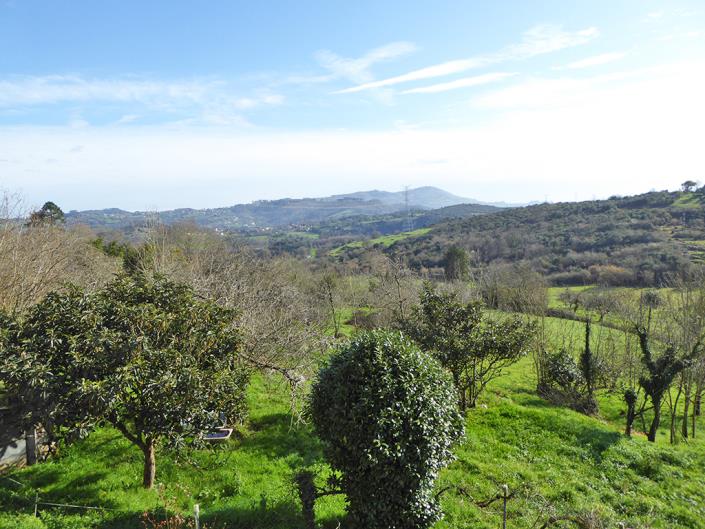 Image No.39-Propriété de pays de 4 chambres à vendre à Grado