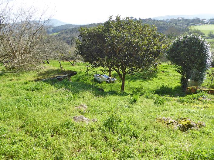 Image No.53-Propriété de pays de 4 chambres à vendre à Grado