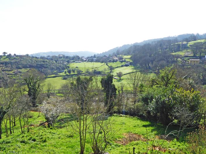 Image No.55-Propriété de pays de 4 chambres à vendre à Grado