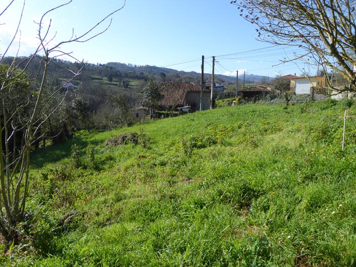 Image No.56-Propriété de pays de 4 chambres à vendre à Grado