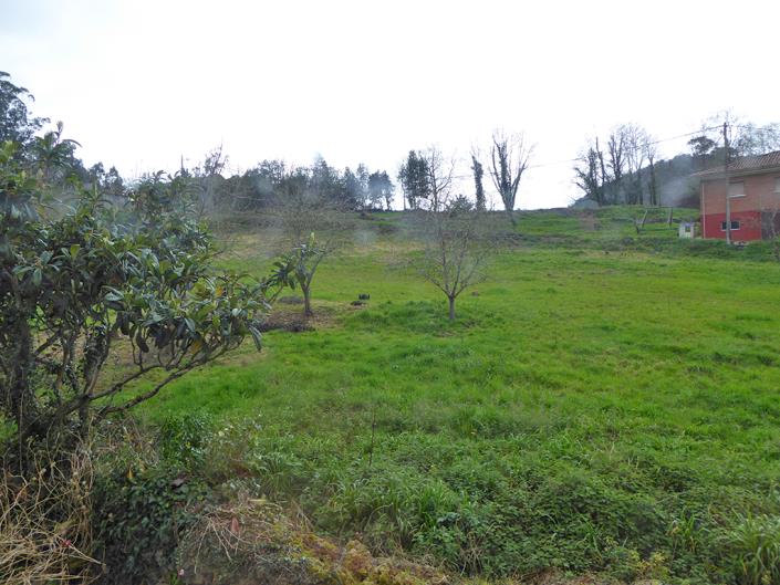 Image No.19-Maison de campagne de 5 chambres à vendre à Salas