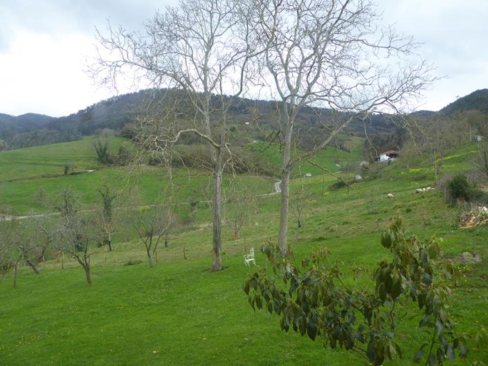 Image No.20-Maison de campagne de 5 chambres à vendre à Salas