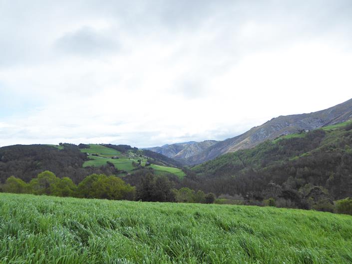 Image No.45-Propriété de pays de 5 chambres à vendre à Valdés